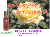 essence0-thumbnail2.jpg